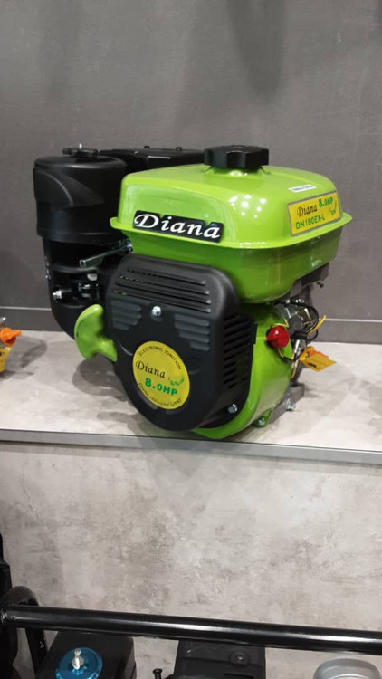 موتور بنزینی دیانا توان 8 اسب